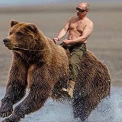 Leverup69's profile picture. Golf, Ski, Fish. Finance and Politics. Pls fix, thx. Grateful Dead