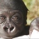 bdanchilla's profile picture. Freelance web developer and author. Enjoy Ruffles All Dressed chips. 

[I feel most together with my nowhere stare. -- Roy Harper]