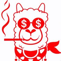 Yama Trader (@yamatraders22) 's Twitter Profile