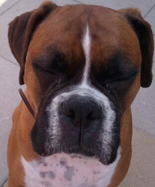 jay_orm's profile picture. 