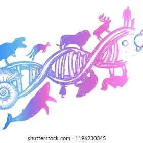 Advances in Animal Science, Theriogenology, Genetics and Breeding
ISSN:  2736-1810
International Peer-Review Open Access Journal