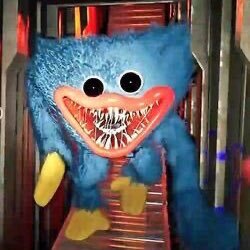 peter_spiderweb's profile picture. 유능쿵야