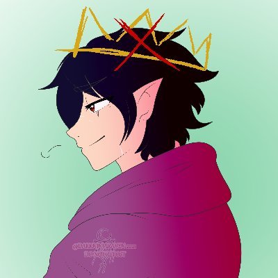 DarkNinjaRavenさんのプロフィール画像