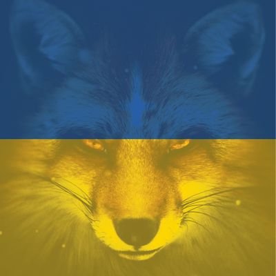 ChoseeNovak's profile picture. 🌲🦊🌲  ⚔️🛡️🇨🇿