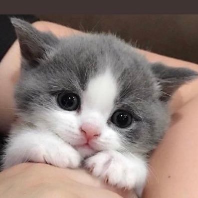 unlucky83023285's profile picture. 