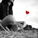 eiteamosabia's profile picture. amar é a sabedoria dos loucos e a loucura dos sabios