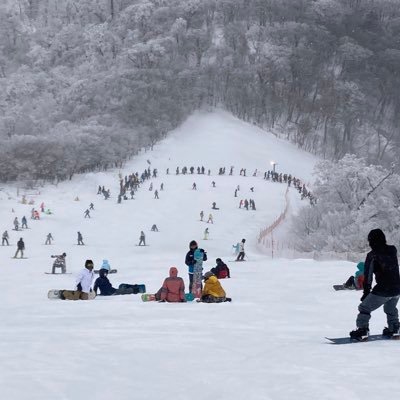 G8tWlktoWFYYlnW's profile picture. 見るだけです