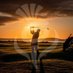 VisitScotland Golf (@visitscotgolf) Twitter profile photo