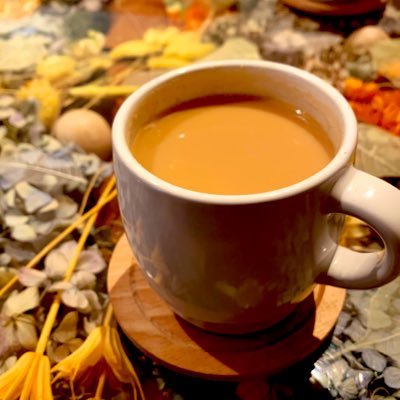 Chaitama_san's profile picture. 旧:赤玉/上京中/頑張って日々を生きているアカウント