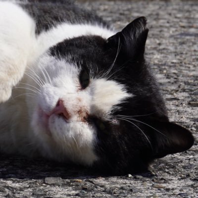 おでかけは街頭演説くらいになりました