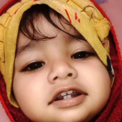 Vikashthakur865's profile picture. I.T Network Engineer