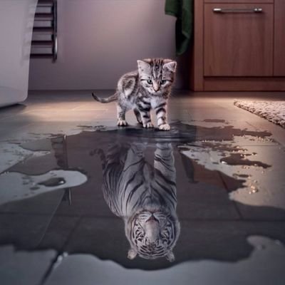 0xericliang's profile picture. web3,crypto