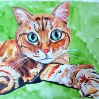 Nat Stepic dog and cats 🌈 Shapa🌈Kimi 🌈Kviska ☮ (@natstepic) 's Twitter Profile