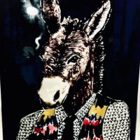 Steve Zeeb (@stevezebra1) 's Twitter Profile