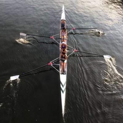 neilste78647712's profile picture. Trying to reduce my carbon footprint