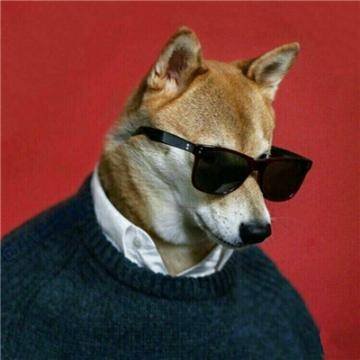 limao712's profile picture. 人间正道是沧桑！