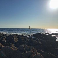 Gladys Iriarte (@gladysiriarte3) 's Twitter Profile Photo Gladys Iriarte (@gladysiriarte3) 's Twitter Profile Photo