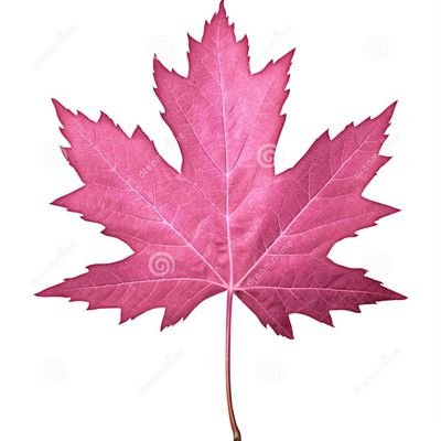 GORIADASECAND's profile picture. 