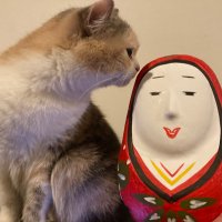 イムイム𐦖𐦖𐦖ᥴ( ᐕ)カモ? (@buchuimu) 's Twitter Profile
