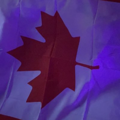 liltrading_fr's profile picture. 