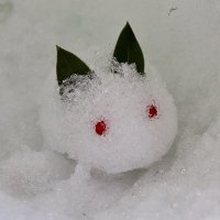 ゆきまち (@y_yukimachi) 's Twitter Profile
