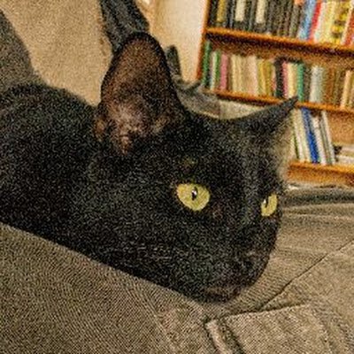 gabor_gyovai's profile picture. 