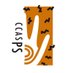 CCASPS (@ccasps) Twitter profile photo CCASPS (@ccasps) Twitter profile photo