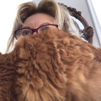 umit cizre (@umitcizre) 's Twitter Profile Photo umit cizre (@umitcizre) 's Twitter Profile Photo