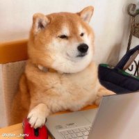 Be_Yrr_side (@blah_lam) 's Twitter Profile