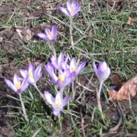 Emma J74 (@emx_) 's Twitter Profile