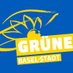 GRÜNE Basel-Stadt (@gruenebasel) Twitter profile photo GRÜNE Basel-Stadt (@gruenebasel) Twitter profile photo