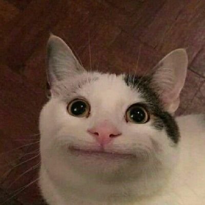 Cloudysdev's profile picture. tech enthusiast, pixel artist and also front end developer, open commission