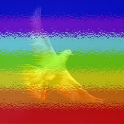 fiorilunastelle's profile picture. Pensionata, antifascista,antileghista,antipopulista,antiterrapiattista. Inoltre, ma non - importantante “Amo la Basilicata ma non i Lucani” (cit. Giorgio S.)