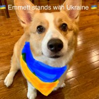 emmettdoog 🇺🇦(@emmettdoog) 's Twitter Profile Photo