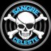 #SangreCeles7e 🏆 (@sangreceles7e) Twitter profile photo #SangreCeles7e 🏆 (@sangreceles7e) Twitter profile photo