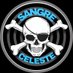 #SangreCeles7e 🏆 (@SangreCeles7e) Twitter profile photo