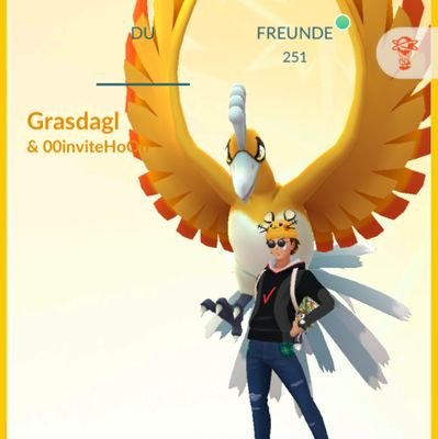 search PoGo Friends for Ho-Oh Raids.

0102 7805 9901