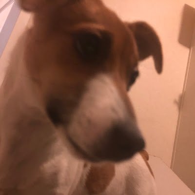 cj3w_'s profile picture. follow RagingCJ on twitch and YouTube
