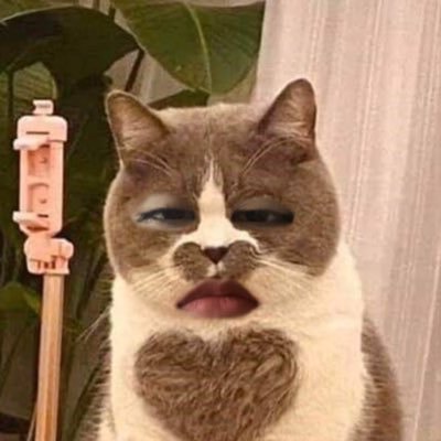 phiing___'s profile picture. 🦦