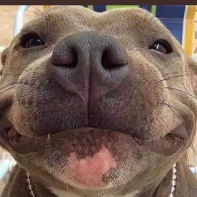 astrid_gl's profile picture. 