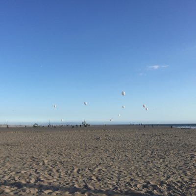 blackjourney_ku's profile picture. 