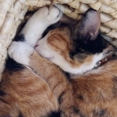 三生さんのプロフィール画像