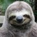 Bastian Koch (@bubblesaccount) Twitter profile photo Bastian Koch (@bubblesaccount) Twitter profile photo