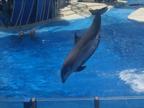 LilyODOIRE's profile picture. 