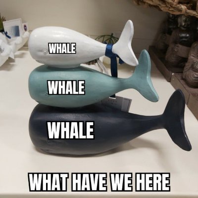 IffyJ1nx's profile picture. Aviation, model kits, figures, weeb stuff