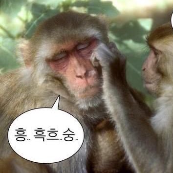 체모さんのプロフィール画像