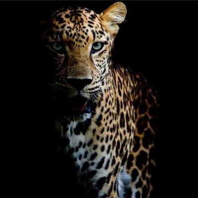 _01Met's profile picture. Metallurgical Engineering 🦺 || When the time is right, I, the Lord, will make it happen. Isaiah 60:22 ♥️ @orlandopirates ⚽️|| @FCBarcelona || LFC