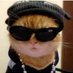 JaviF (@javif40306949) Twitter profile photo JaviF (@javif40306949) Twitter profile photo