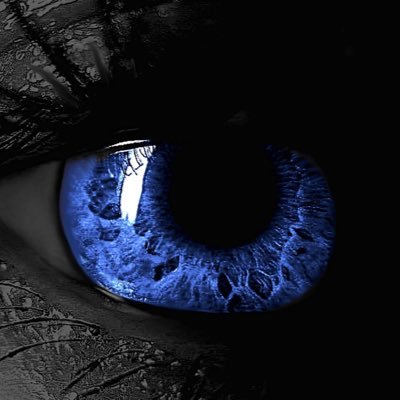 Arabmoney2222's profile picture. we are the dons