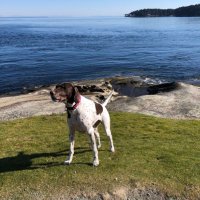 Adam Pankratz (@adamjpankratz) 's Twitter Profile